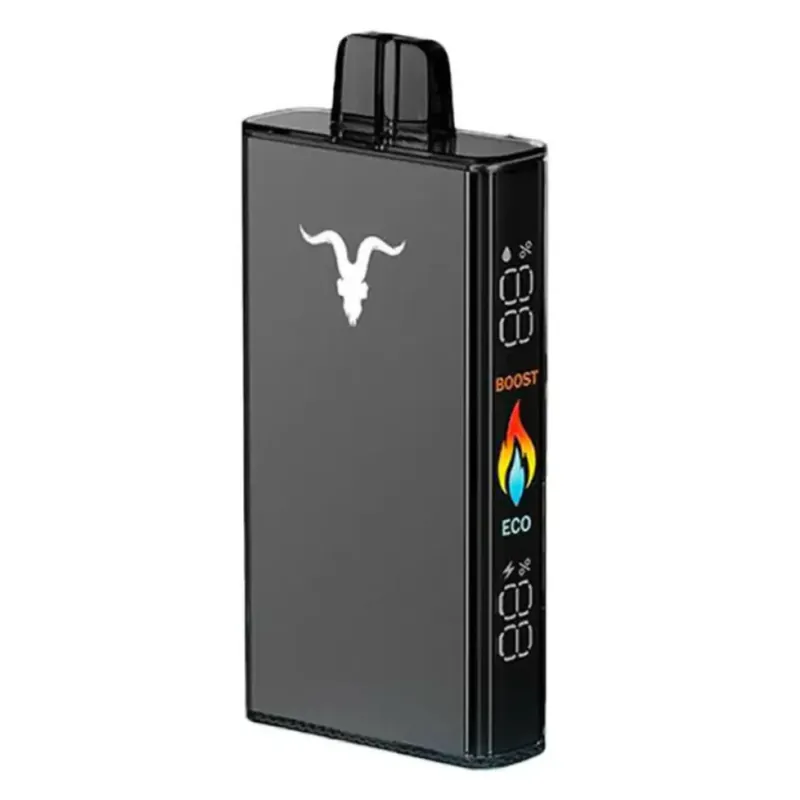 Ignite V250